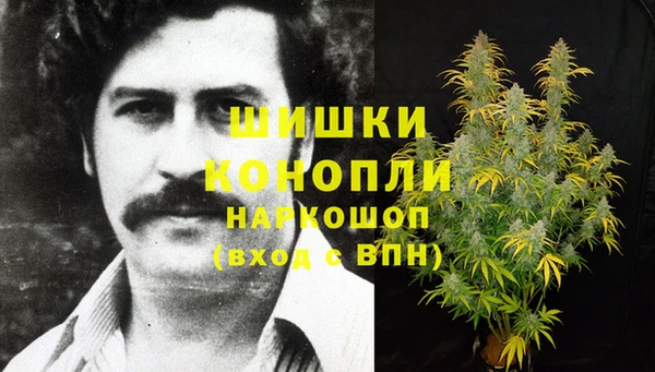 гидра Абинск