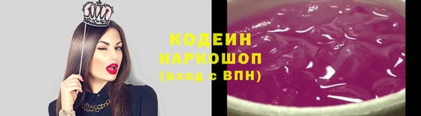 сатива Новодвинск