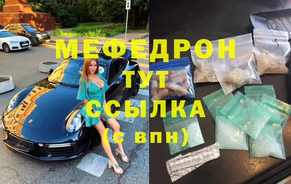 сатива Новодвинск